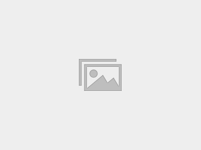 Curso de Reproducción de Piedra Mediterránea